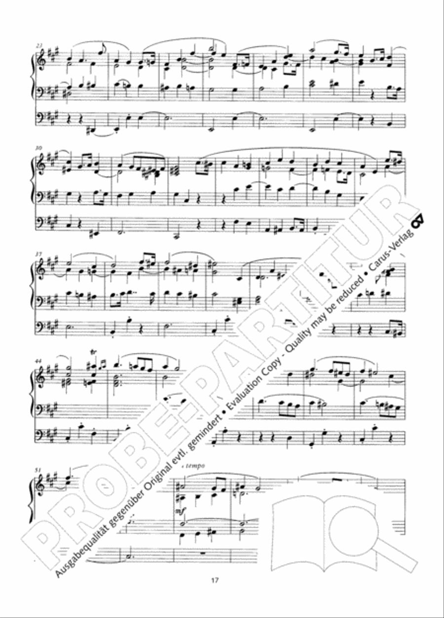 Zwolf Charakterstucke op. 156 Organ Solo scores gallery preview page 18