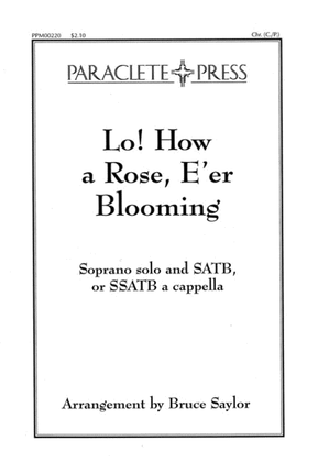 Lo How a Rose E'er Blooming