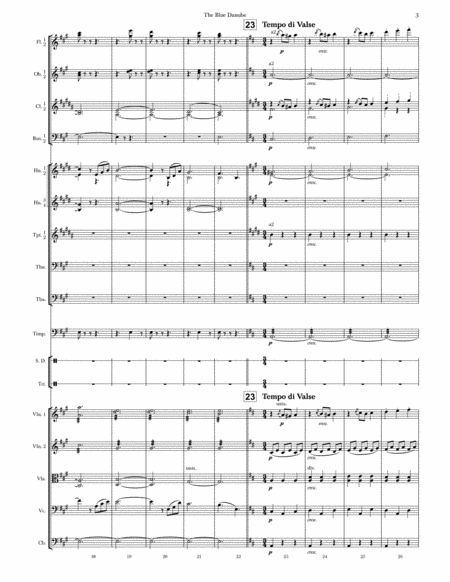 The Blue Danube (Score & Parts) image number null