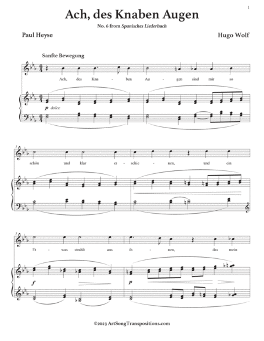 WOLF: Ach, des Knaben Augen (transposed to E-flat major) Voice scores gallery preview page 2