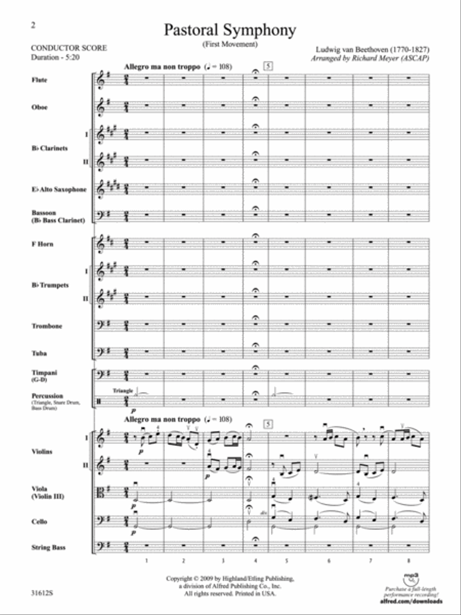 Pastoral Symphony (First Movement) Full Orchestra scores gallery preview page 2