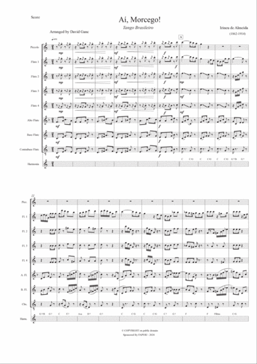 Aí, Morcego! Aí, Morcego! Woodwind Ensemble scores gallery preview page 3