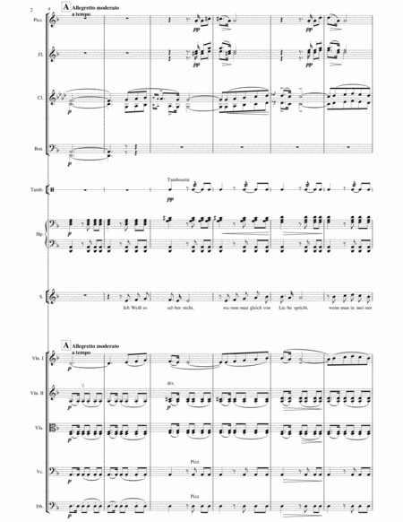 "Meine lippen sie küssen so heiß" Aria from Giuditta by Franz Lehar for Mezzo-Soprano and Symphonic Orchestra in D minor (transposed 1 tone lower)