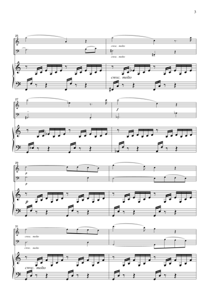 Bach-Gounod  Ave Maria(Violin, Cello & Piano)