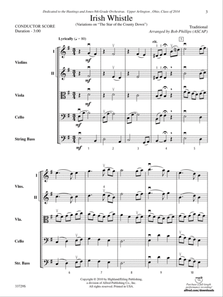Irish Whistle: Score String Orchestra scores gallery preview page 3