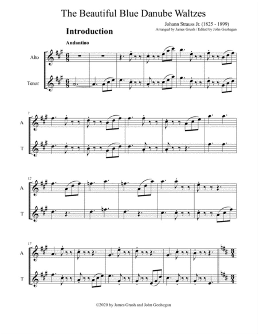 Blue Danube Waltzes for Recorder Duet Woodwind Duet scores gallery preview page 4