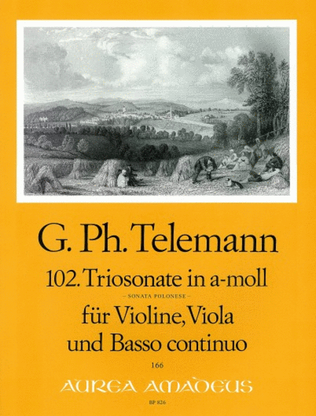 Book cover for Sonata 102 à tre A minor TWV 42:a8