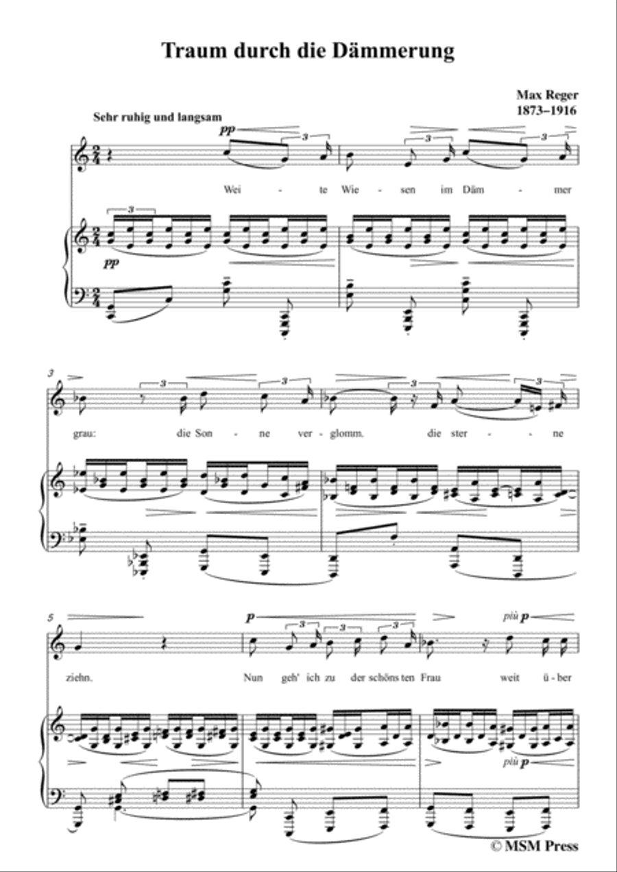 Reger-Traum durch die Dämmerung in C Major,for Voice and Piano Voice Solo scores gallery preview page 3
