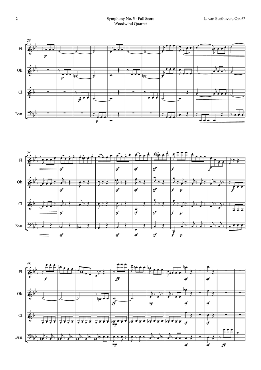 Symphony No. 5 by Beethoven for Woodwind Quartet Woodwind Quartet scores gallery preview page 3