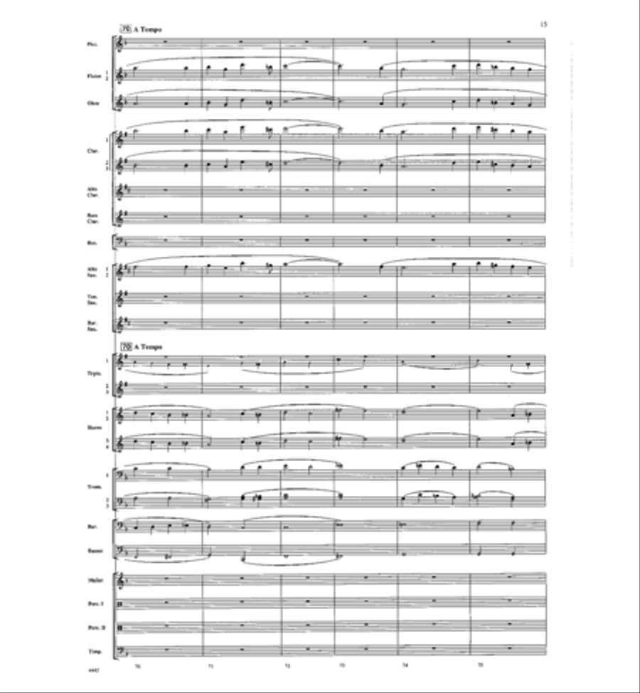 Ireland Concert Band scores gallery preview page 15