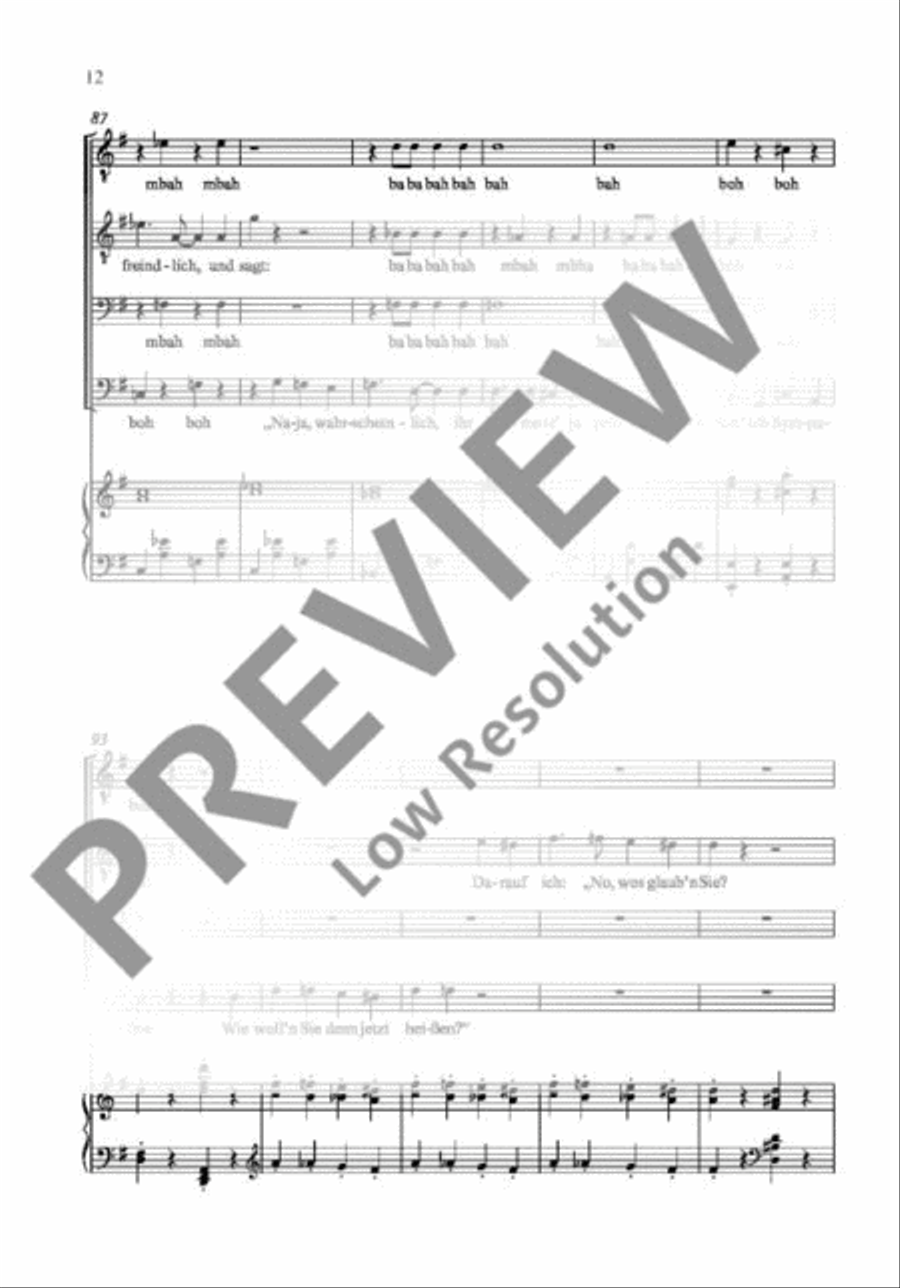 Telefonbuchpolka Telefonbuchpolka TTBB scores gallery preview page 13