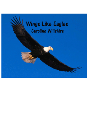 Wings Like Eagles (Ballad)