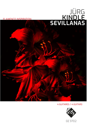 Book cover for Flamenco Inspiration - Sevillanas