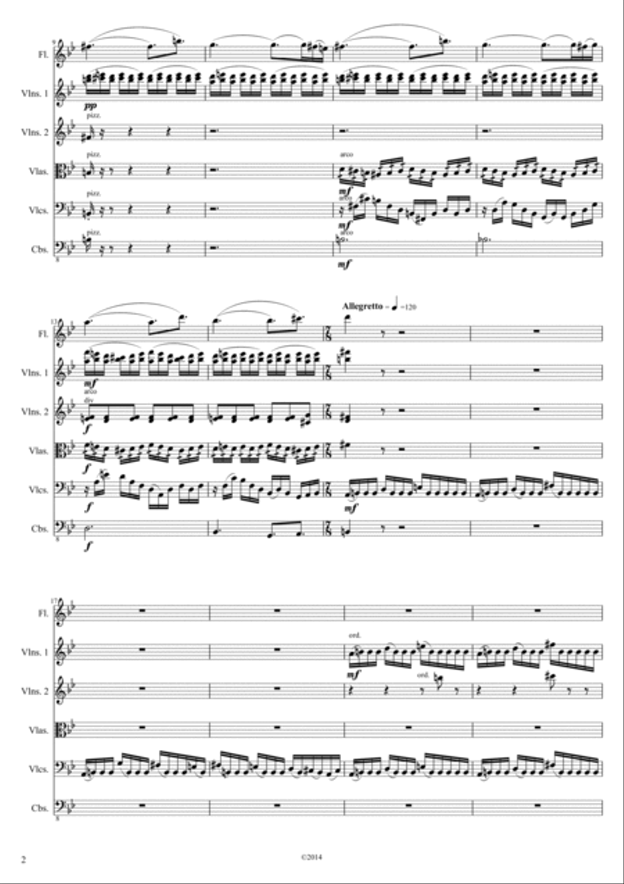 Rhapsody No.2 - for Flute and String orchestra (2014) Chamber Orchestra scores gallery preview page 3