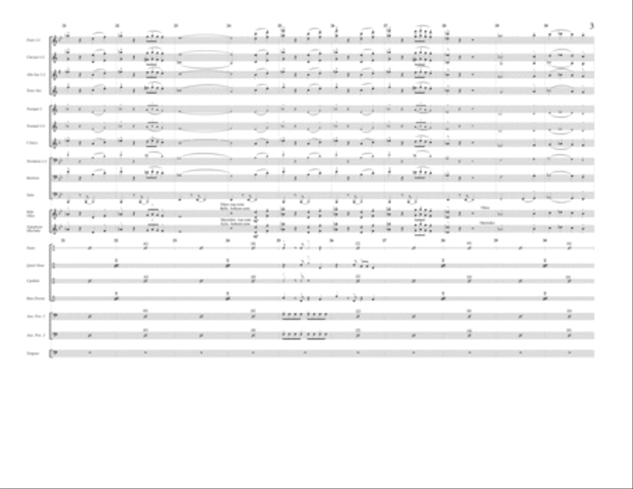 Tio Macaco - Full Score Marching Band scores gallery preview page 3