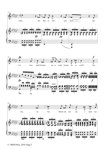 Schumann-Mignon(Kennst du das Land),Op.98a No.1,in e flat minor,for Vioce&Pno