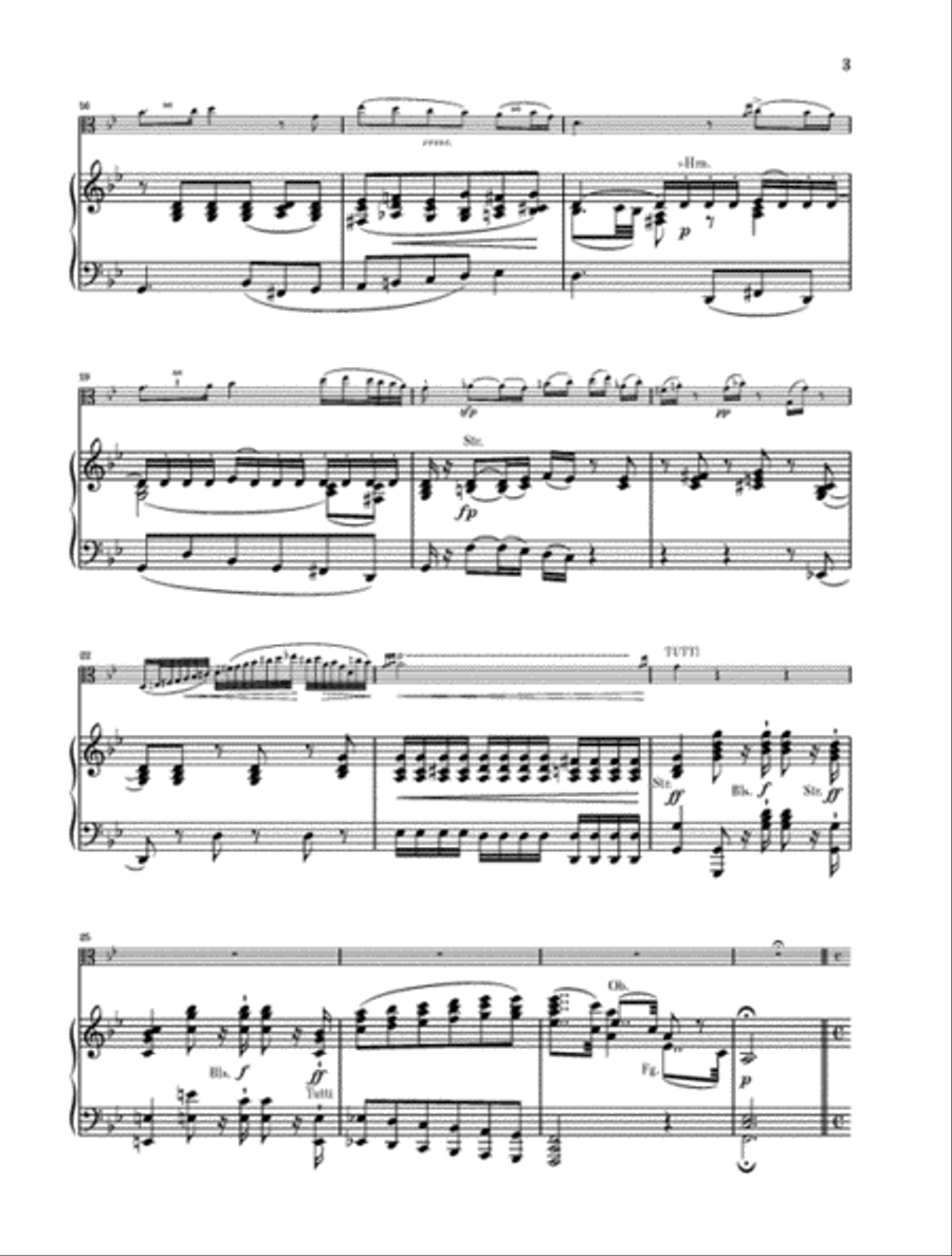 Potpourri Op. 94 (“Fantasy”) Piano Accompaniment scores gallery preview page 3