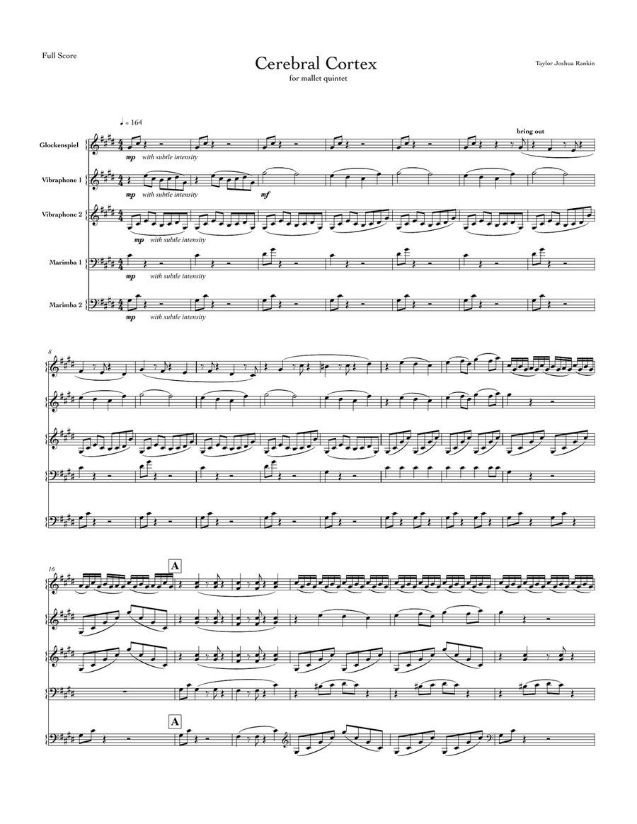 Cerebral Cortex, for mallet quintet