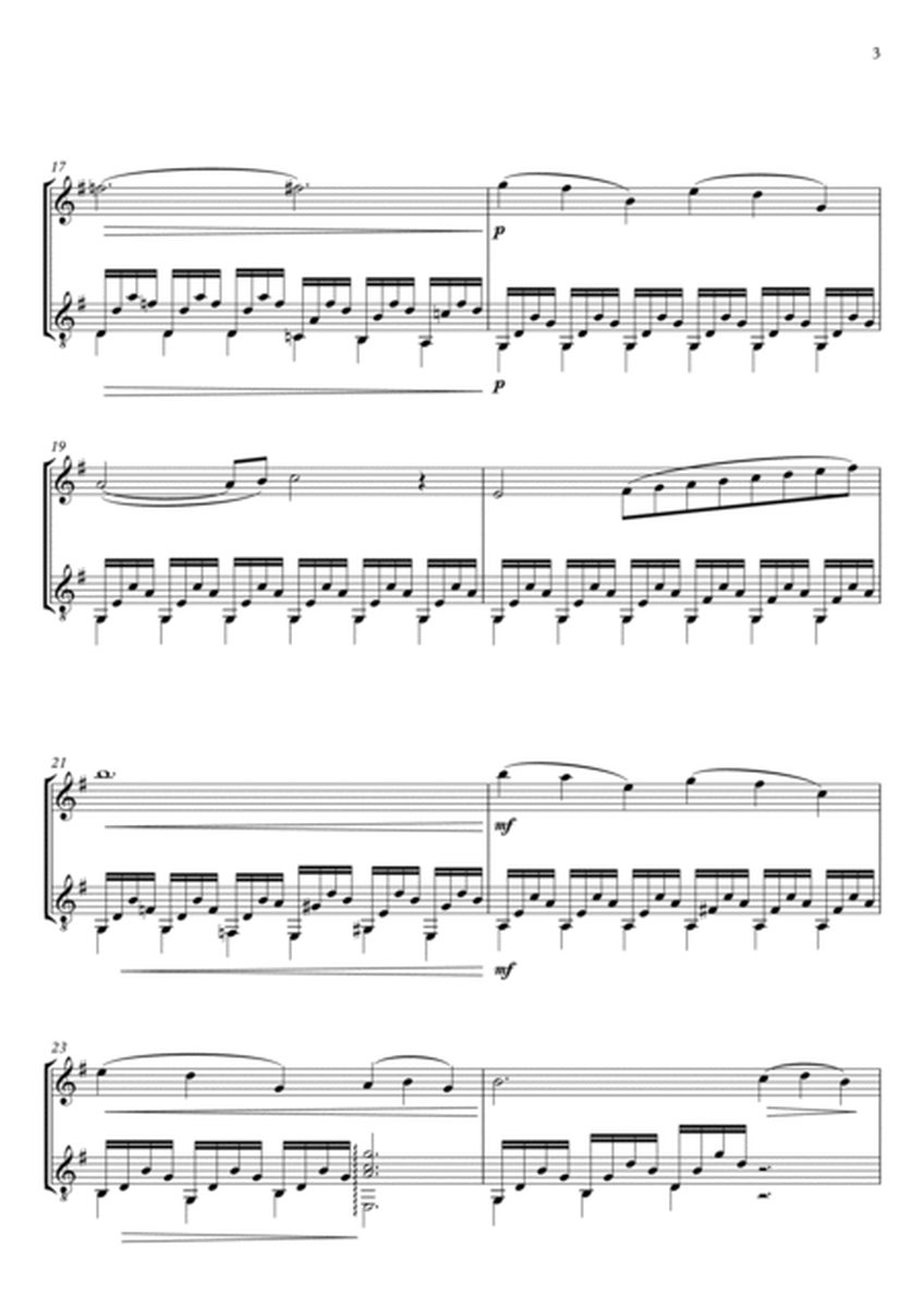 THE SWAN - CAMILLE SAINT SAENS - FOR FLUTE AND GUITAR image number null