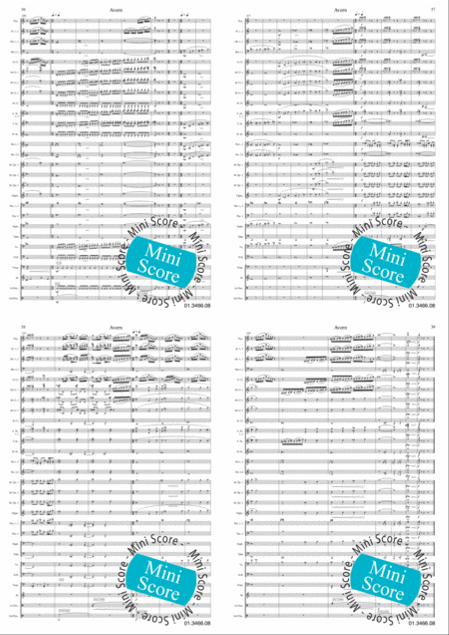 Avern Concert Band scores gallery preview page 11
