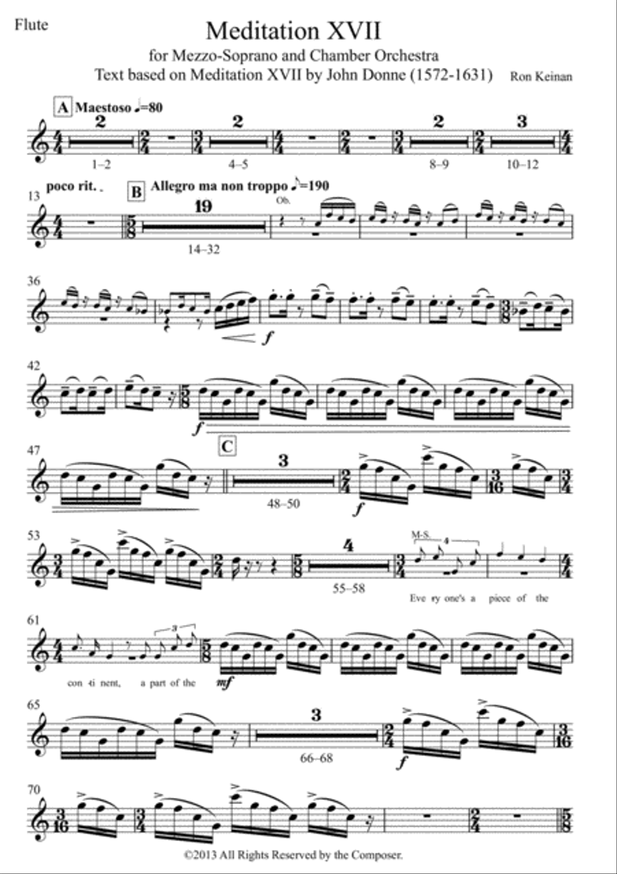 Meditation XVII - Parts Chamber Orchestra scores gallery preview page 4
