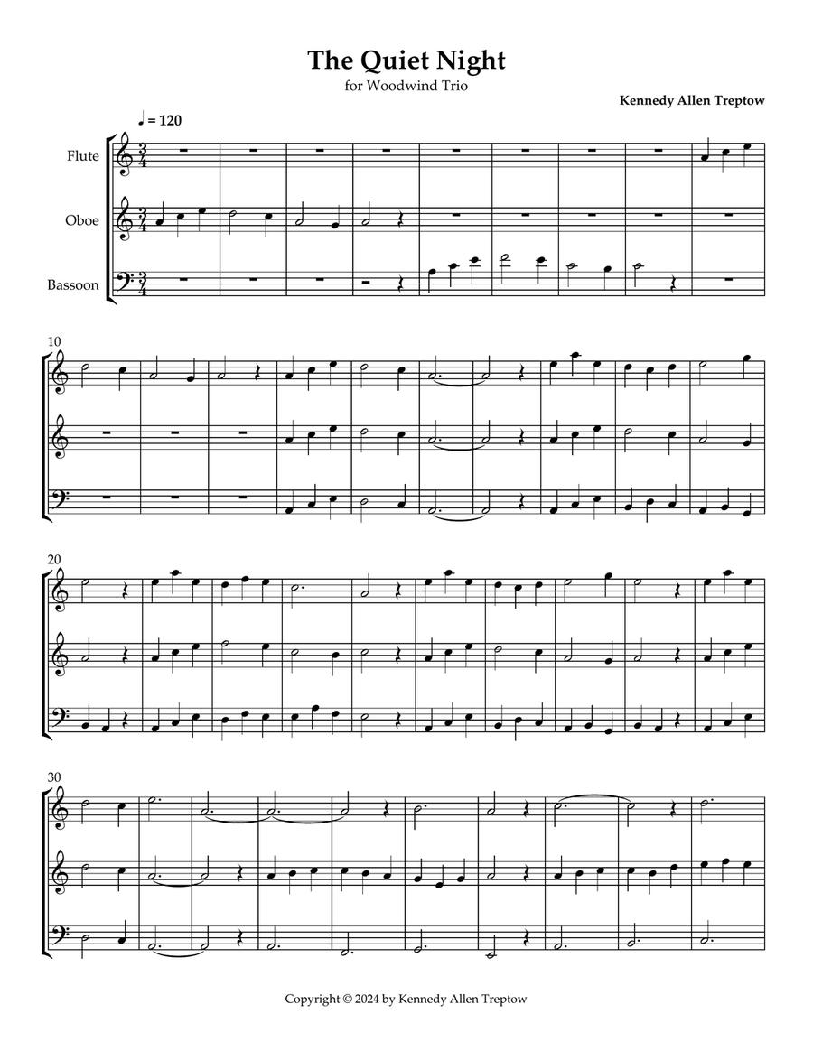 The Quiet Night Woodwind Trio scores gallery preview page 1