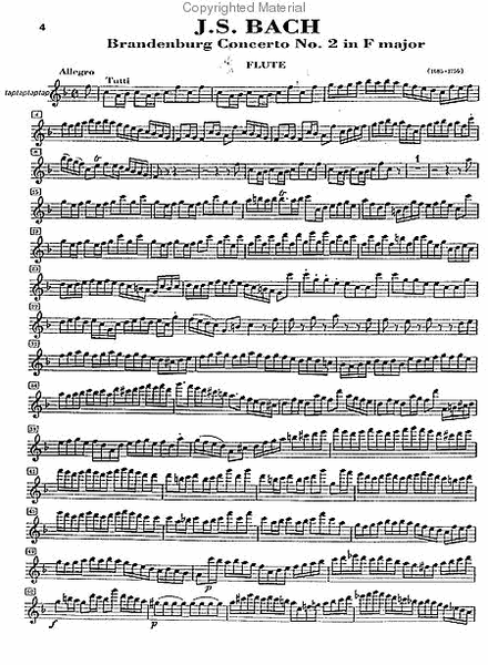 Brandenburgisches Konzert Nr. 2 f. Fl. <B>Haydn, Joseph</B> - Floten-Konzert D-Dur (+CD) image number null