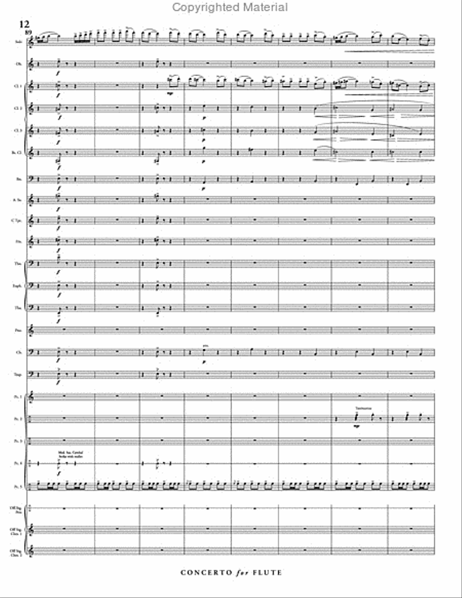 Concerto for Flute & Wind Ensemble Concert Band scores gallery preview page 13