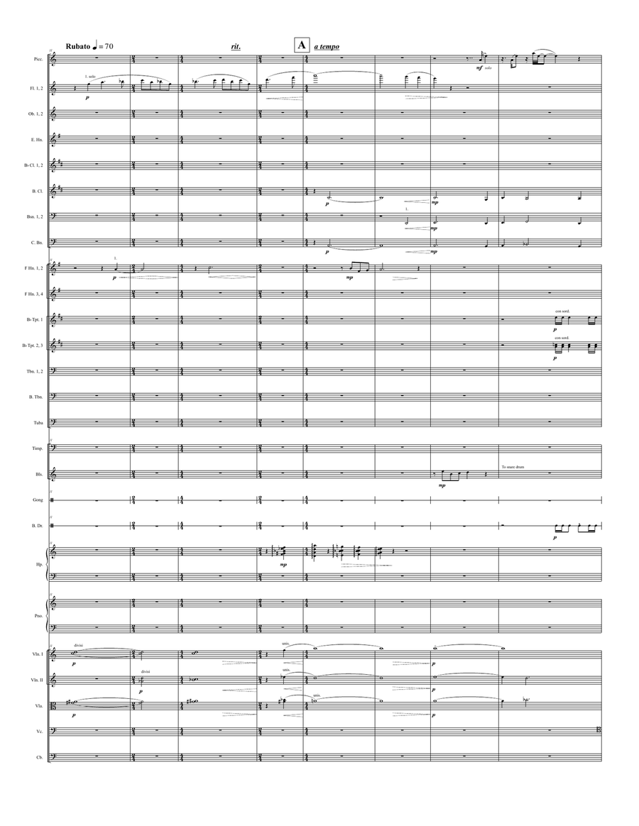 Tetris for orchestra -- score only Full Orchestra scores gallery preview page 2
