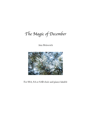 Book cover for The Magic of December