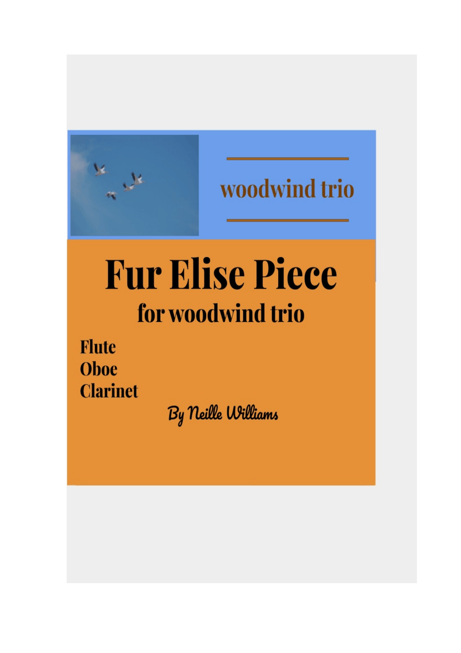 Fur Elise Piece Fur Elise Piece Woodwind Trio scores gallery preview page 1