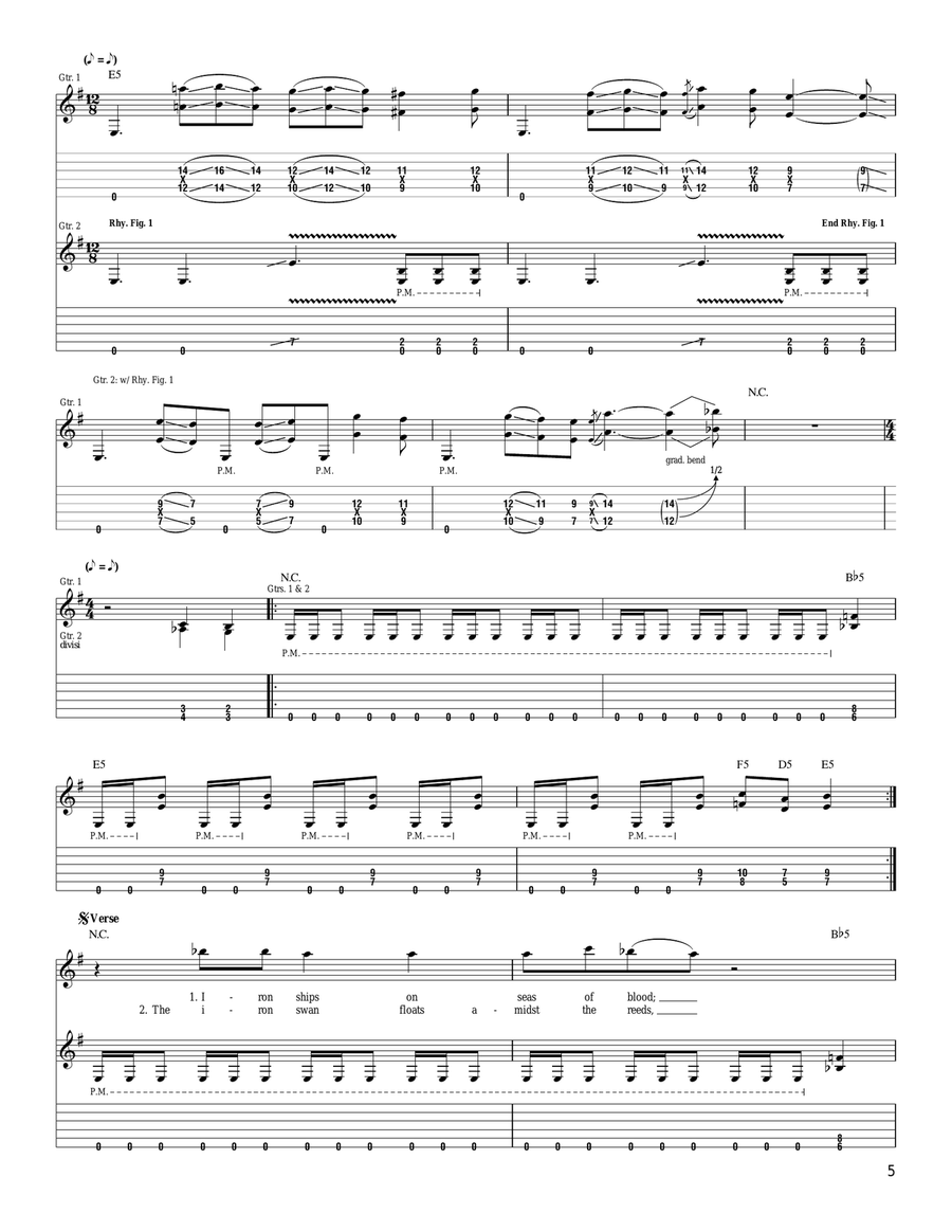 Iron Swan Acoustic Guitar scores gallery preview page 5