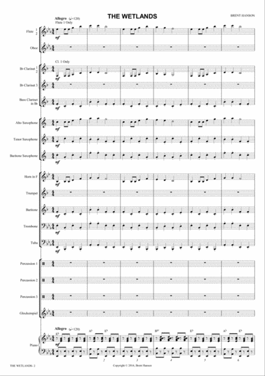 The Wetlands (Score and Parts) Concert Band scores gallery preview page 2