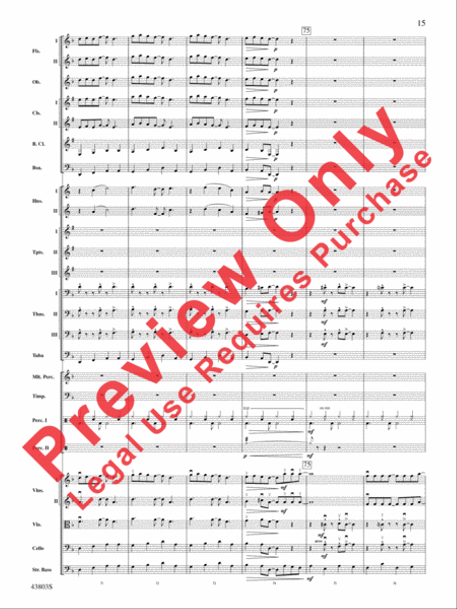 The Doors on Tour The Doors on Tour Full Orchestra scores gallery preview page 16