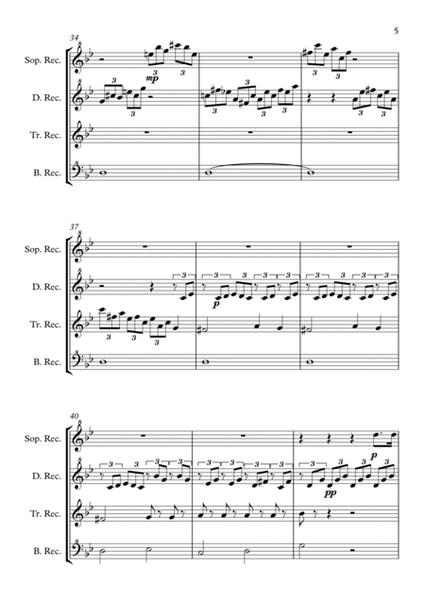 Moonlight Sonata - Recorder Quartet image number null
