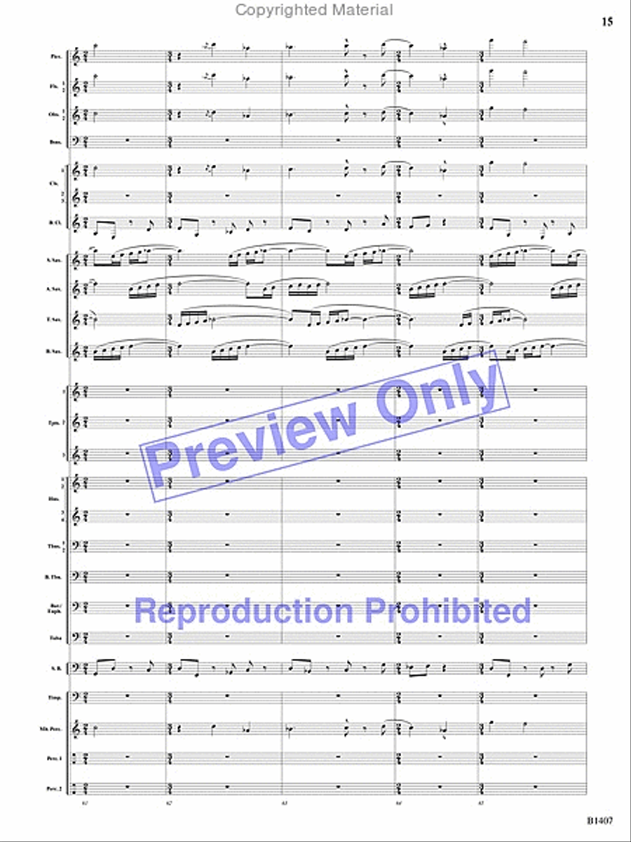 Antiphonal Fanfare Antiphonal Fanfare Concert Band scores gallery preview page 14