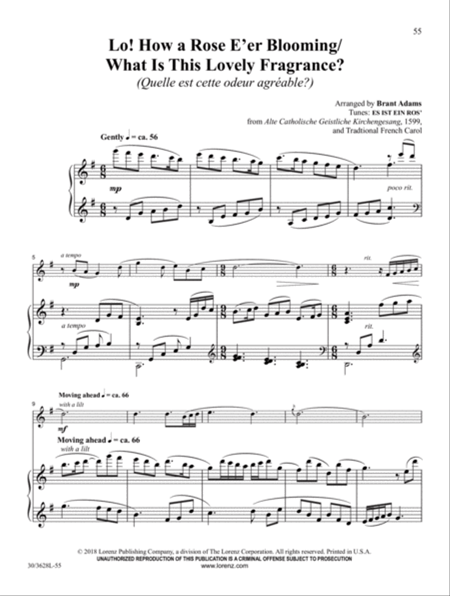Flute Solos for Worship, Vol. 3 Flute Solo scores gallery preview page 15