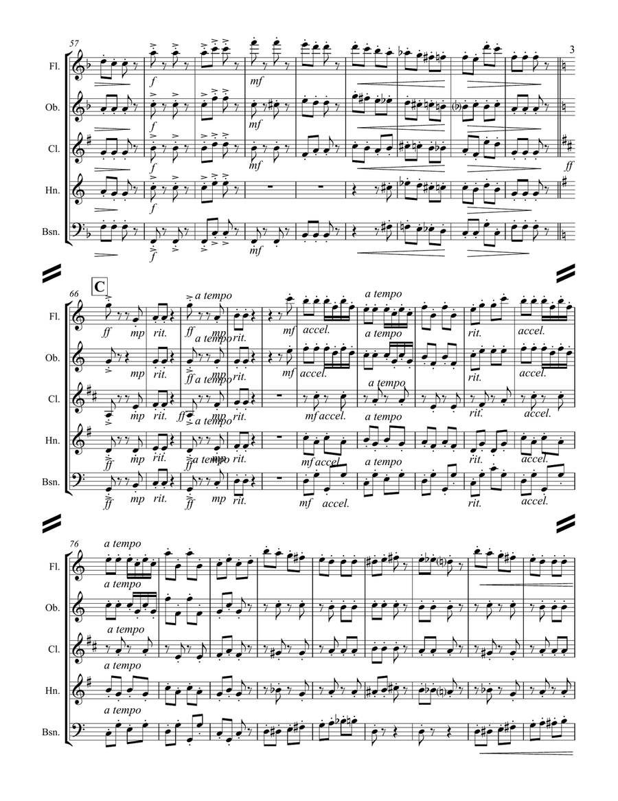 Strauss II – Pizzicato Polka (for Woodwind Quintet) Woodwind Quintet scores gallery preview page 4