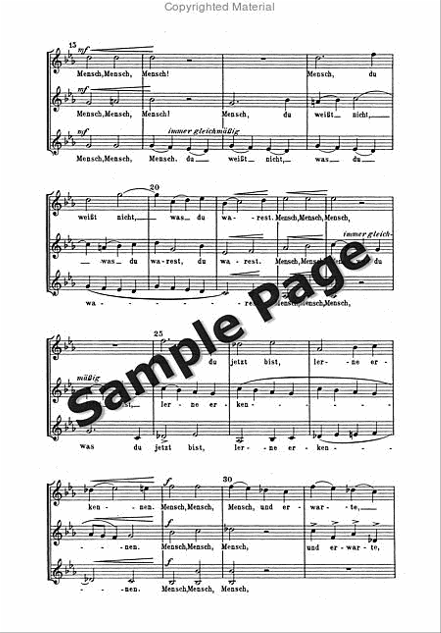 Rein W Gezeiten SMezA scores gallery preview page 3