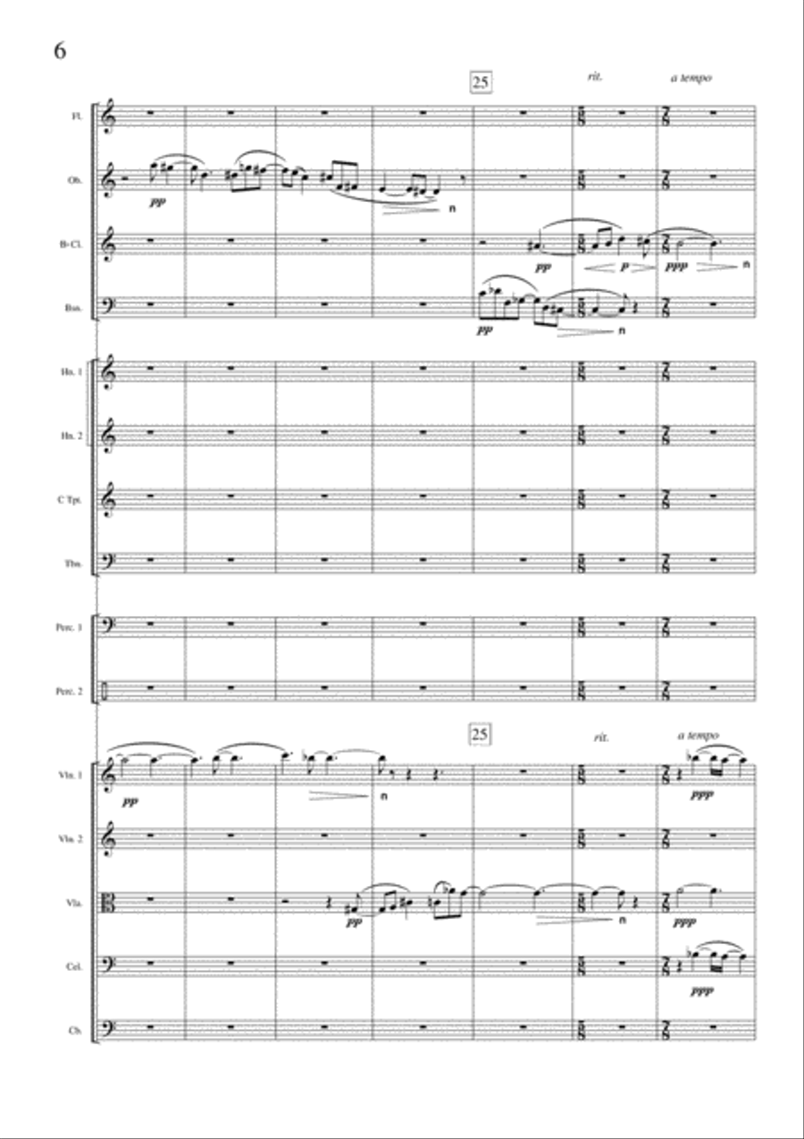 Serenata for Chamber Orchestra Chamber Orchestra scores gallery preview page 6