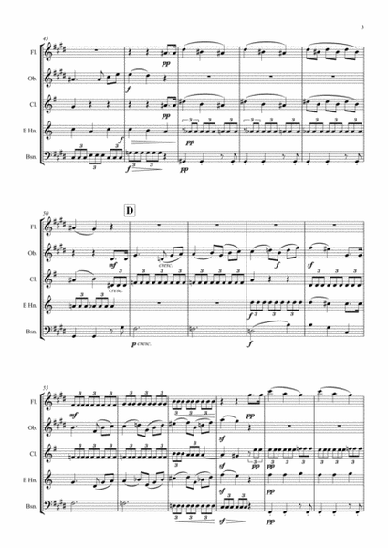 Mendelssohn: Incidental Music from A Midsummer Night's Dream Op.61 No.7 Notturno - wind quintet image number null