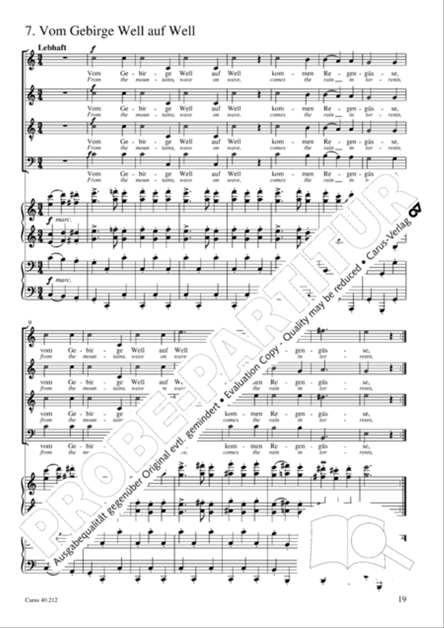 Neue Liebeslieder-Walzer, Op. 65 Choir scores gallery preview page 20