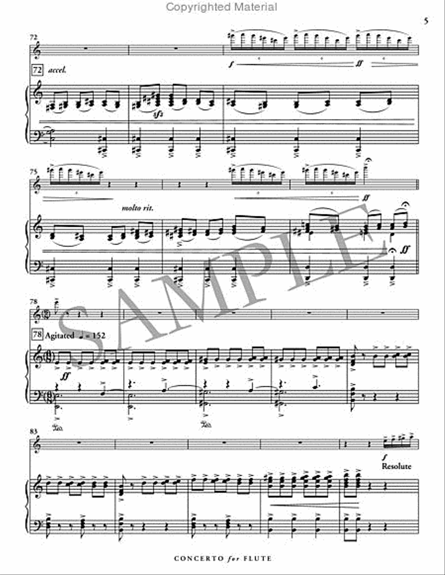 Concerto for Flute Concerto for Flute Flute Solo scores gallery preview page 6