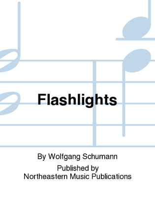 Book cover for Flashlights