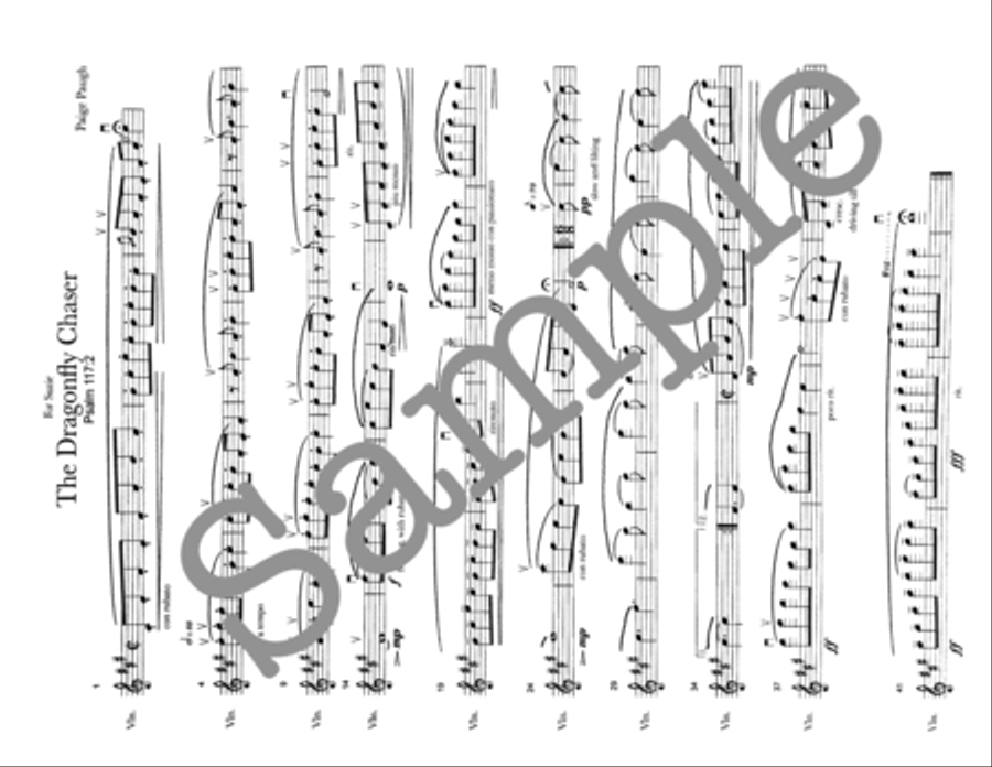 The Dragonfly Chaser The Dragonfly Chaser Violin Solo scores gallery preview page 2