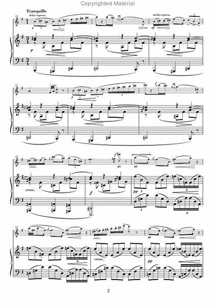 Fichten (Maennid - Mannid) fur Violine und Klavier