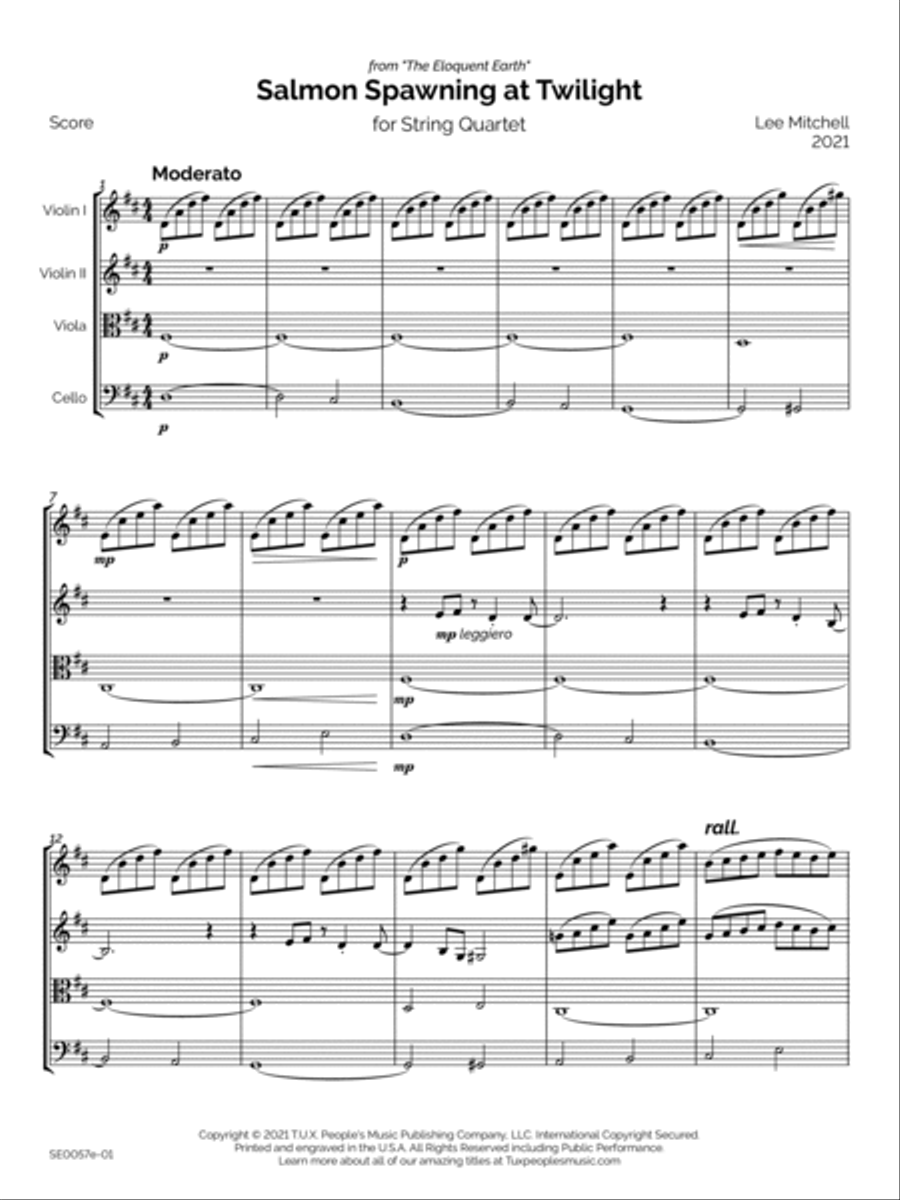 Salmon Spawning at Twilight String Quartet scores gallery preview page 4