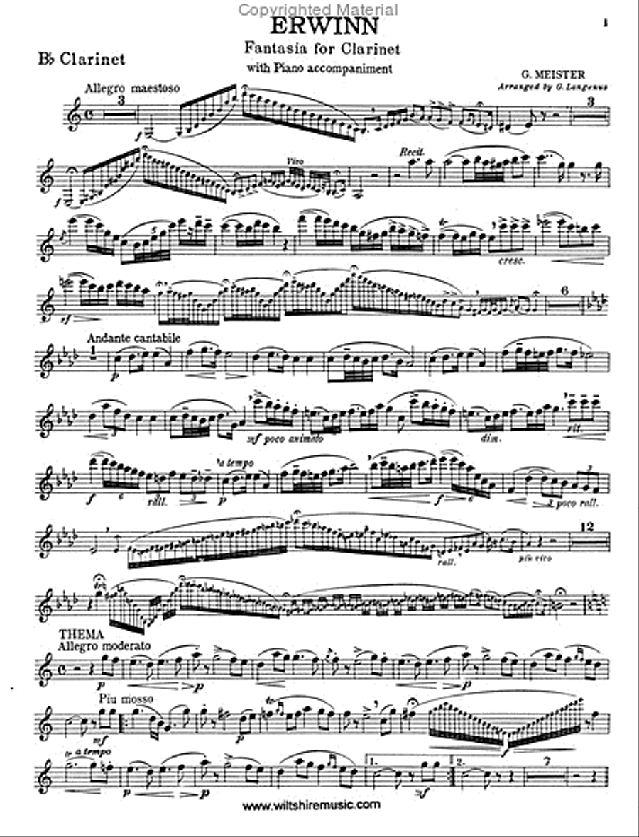 Erwinn, Fantasia for Clarinet Clarinet Solo scores gallery preview page 2
