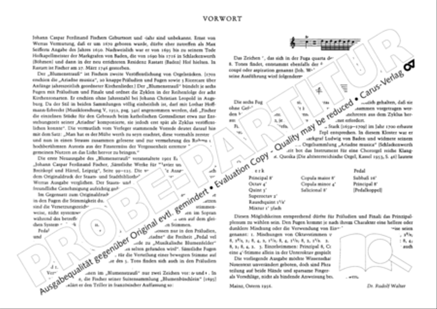 Musikalischer Blumenstrauss Organ Solo scores gallery preview page 5