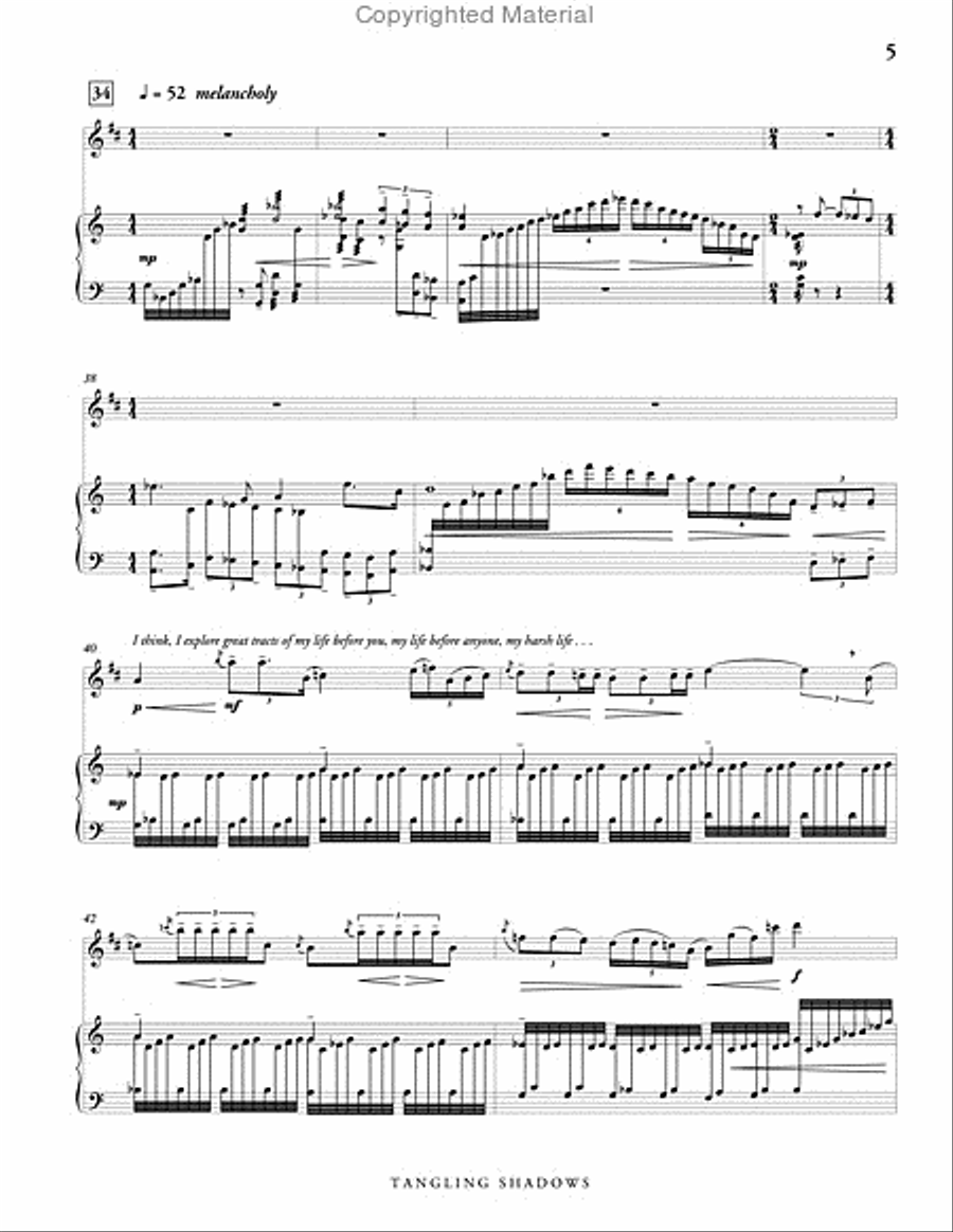 Tangling Shadows, Version 2 (score & parts) B-Flat Clarinet scores gallery preview page 6
